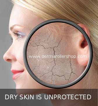 Dry skin is more vulnerable to sun damage and environmental damage. 